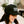 Everything I Love To Do Is Illegal Trucker Hat - Shitheadsteve