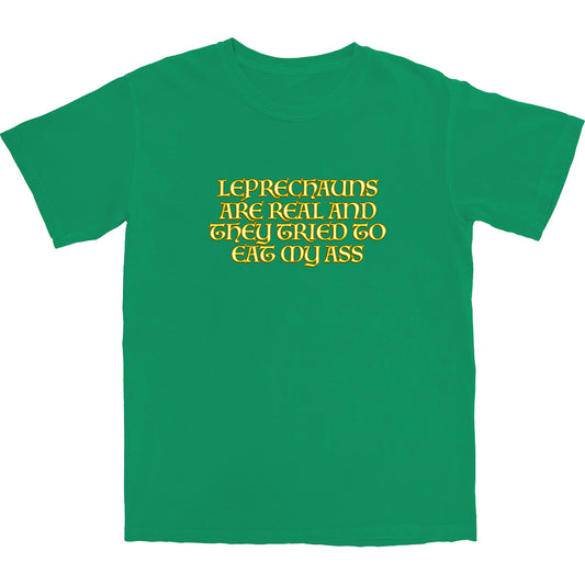 Leprechauns Are Real T Shirt