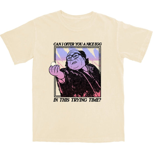 Nice Egg T Shirt - Shitheadsteve