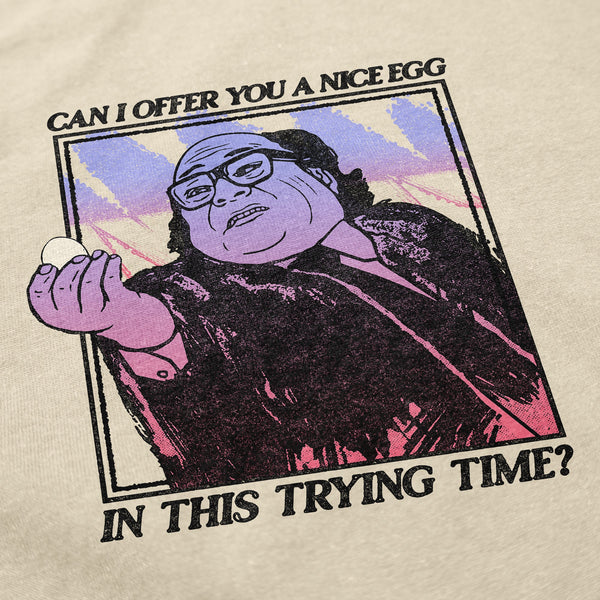 Nice Egg T Shirt - Shitheadsteve