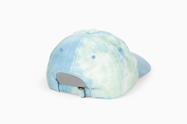 Pay Me In Bitcoin Hat - Shitheadsteve