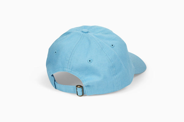 Pay Me In Bitcoin Hat - Shitheadsteve
