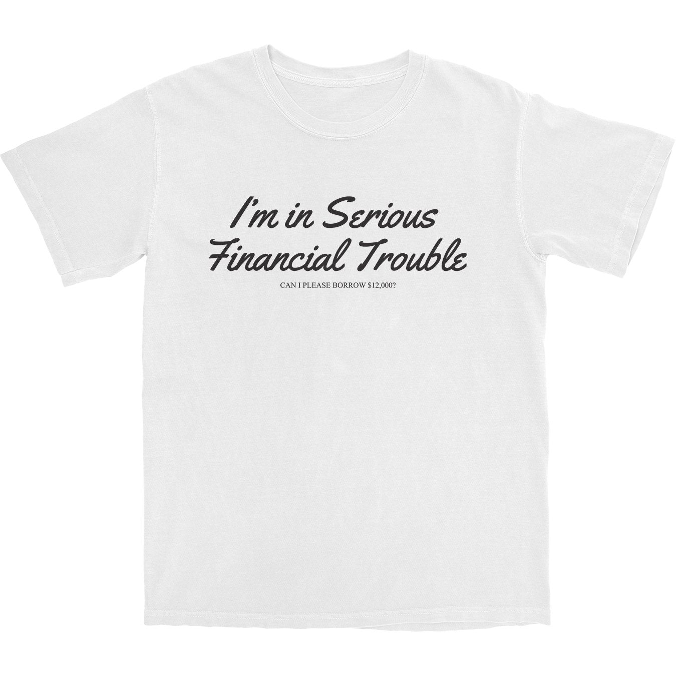 Serious Financial Trouble T Shirt - Shitheadsteve