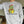 Become Ungovernable Turtle Crewneck Sweatshirt