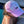 Peepeepoopoo Hat - Shitheadsteve