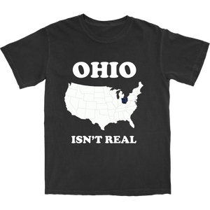 Ohio Isn't Real T Shirt - Shitheadsteve